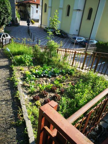 Apartamento Appartamento Francesca