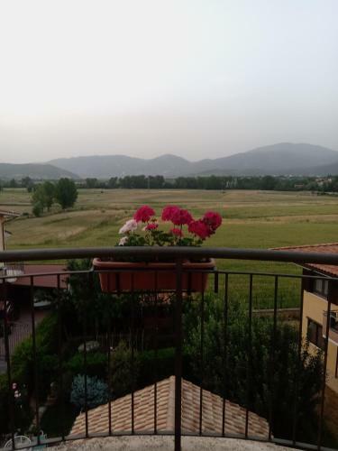 Hostal A L'aquila Per Un Sogno