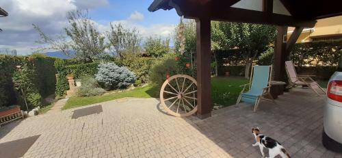 Hostal A L'aquila Per Un Sogno