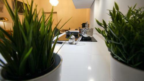 Bed & Breakfast Nel Cuore Dell'aquila Bnb