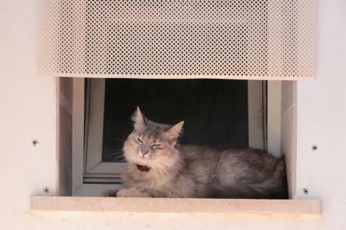 Apartamento Le Ch�teau Des Chats