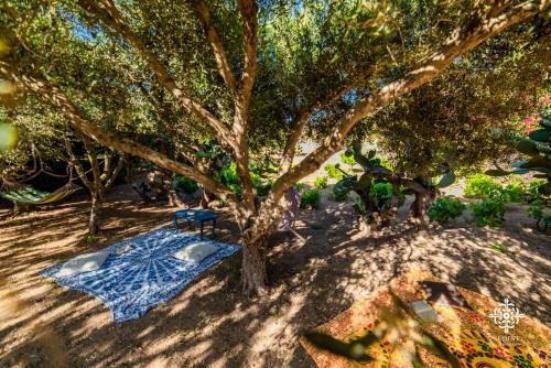Apartamento Residenza Ormos - Dimore Sul Mare