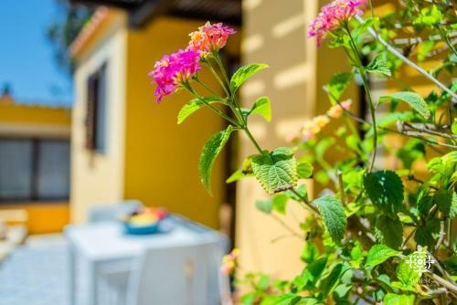 Apartamento Residenza Ilios
