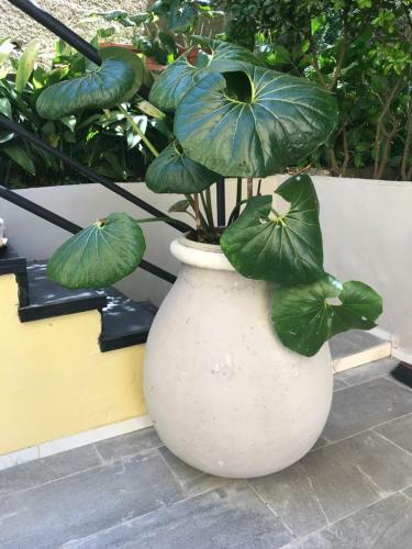 Apartamento Casa Perla