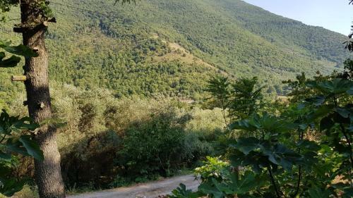 Villa Del Maestro