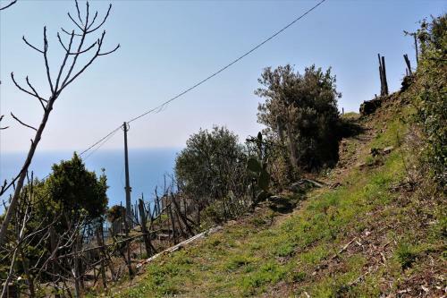 La Casetta Di Giuly A Picco Sul Mare