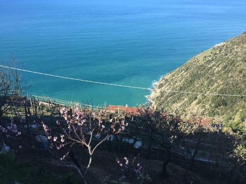 Apartamento Cinque Terre Niu De M�