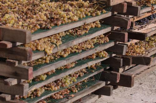 Apartamento UNA Terrazza Sulla Malvasia