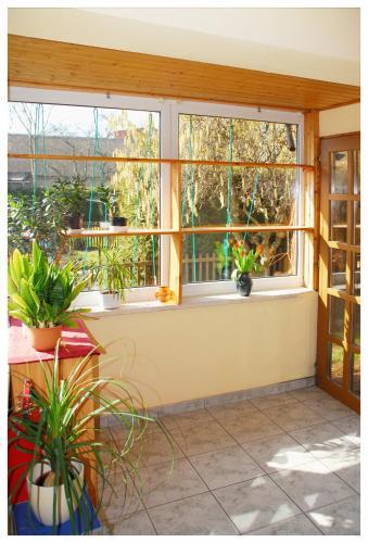 Hostal Pension Alter Zausel