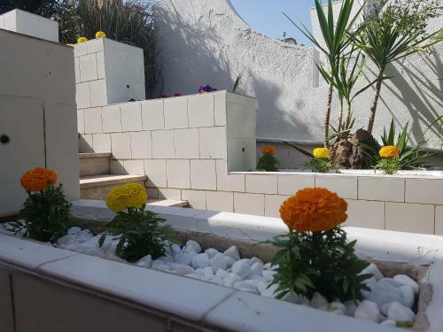 Apartamento Villa Giada-8 Appartamenti