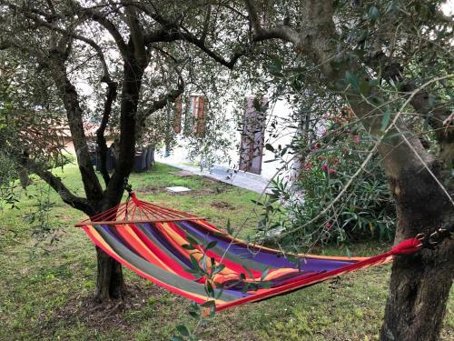 Lennolake Relax House