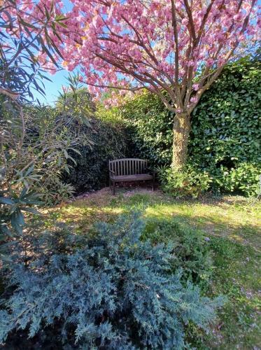Bed & Breakfast Casabella-lago Maggiore