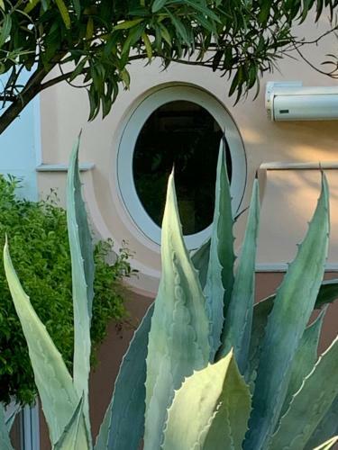 Bed & Breakfast Casabella-lago Maggiore