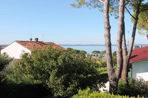 Apartment In Lazise/gardasee 21955