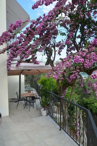 Apartamento Casa Gaia