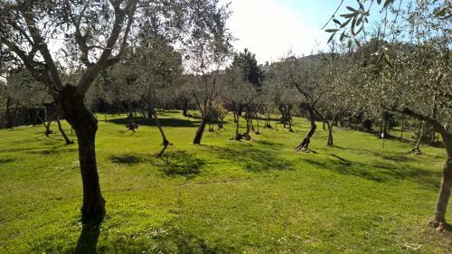 Appartamento La Collina Del Sole