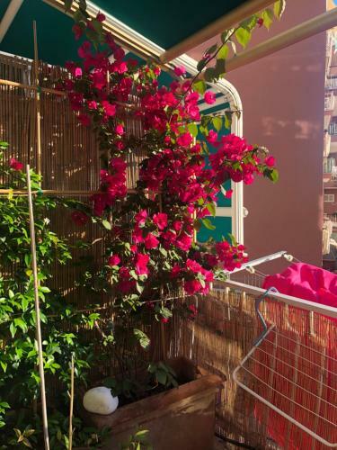 Apartamento Blu Di Lerici - Zona Tranquilla Due Passi Dal Mare