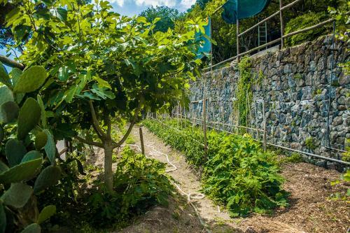 Villa Enaria
