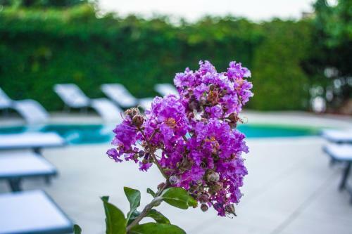 Apartamento Villa Marylu'