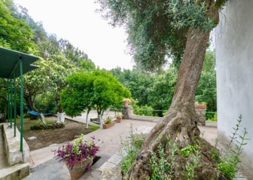 Villa Vincenzo Di Meglio