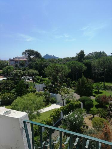 Apartamento Pineta's House