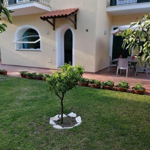 Apartamento A Casa