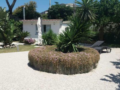 Casa Vacanza M&c Ischia
