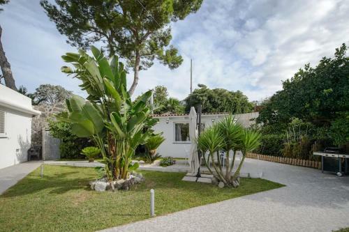 Casa Vacanza M&c Ischia