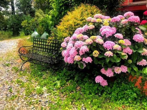 Hostal Camera Hortensia By Le Rose