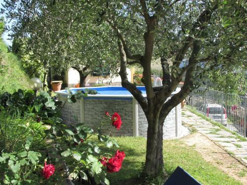 5 Terre - B&B La Giuditta - La Spezia