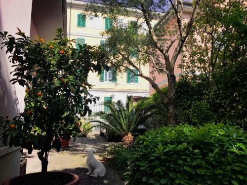 Apartamento La Casa Dei Fiori