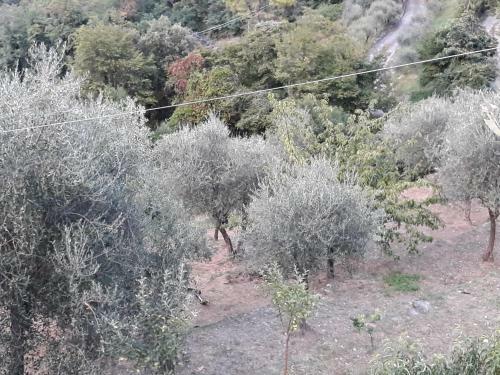 Hostal Villa Patrizia
