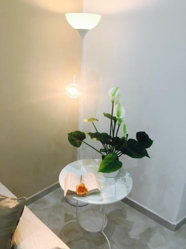 Queen Chic Apartment