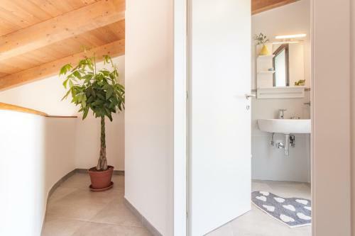 Villa Luxury Summer House