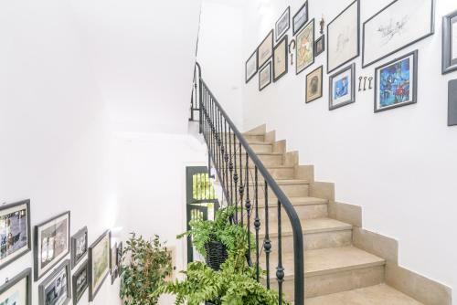 Bed & Breakfast Toma Street