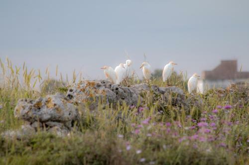 Agroturismo Sitamara