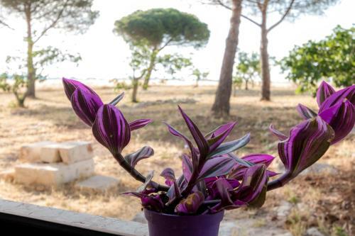 Agroturismo Sitamara