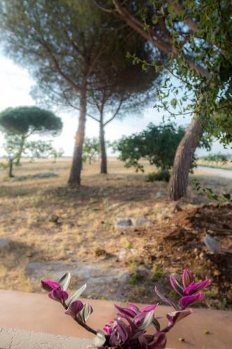 Agroturismo Sitamara