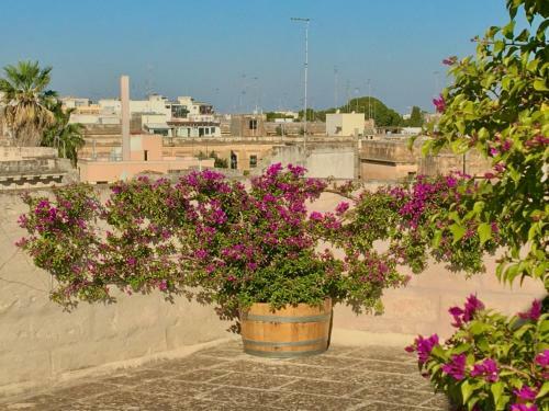 Bed & Breakfast Palazzo Charlie