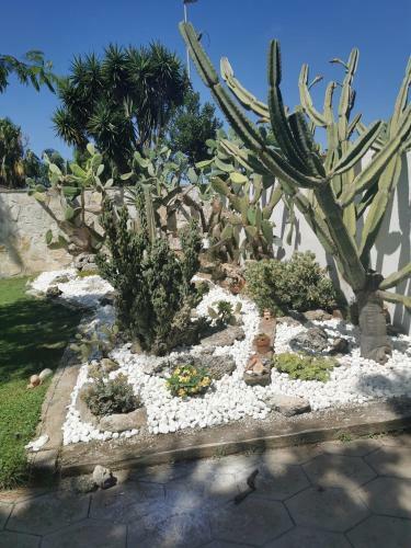 Bed & Breakfast Country House Paradiso
