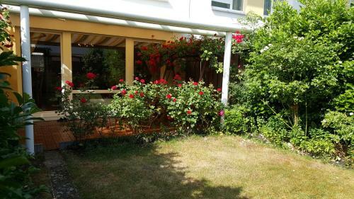 Exklusives Haus Mit Garten