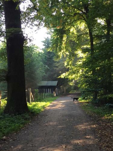 Apartamento Hannover List 2 Bedroom Home Away From Home
