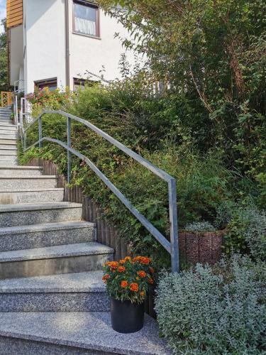 Apartamento Hanghaus Im Gr�nen