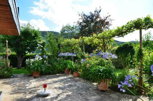 Apartamentos Fewo Amber