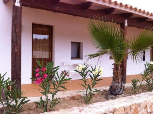 Es Pas Formentera Agroturismo