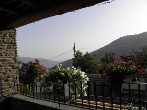Apartamentos Casalpujarra