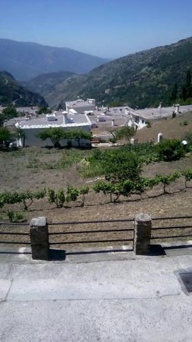 Apartamentos Casalpujarra