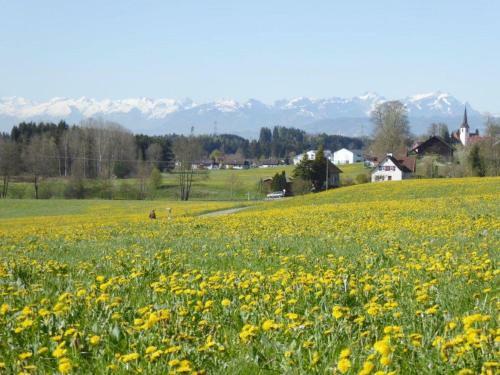 Apartamento Ferienwohnung S�ntisblick