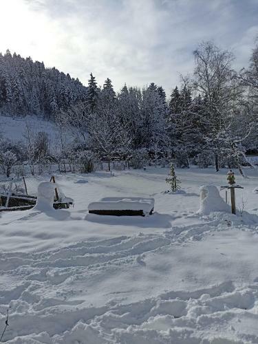 Apartamento Pont De La Chaux 2