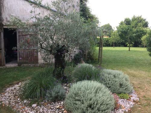 Bed & Breakfast Chambres Et Roulotte de La Gentilhommi�re